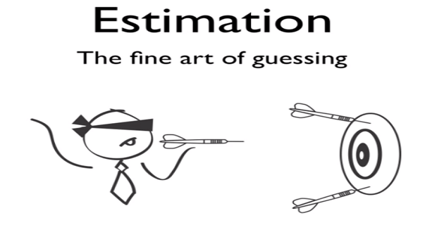 Business Analysis Estimation