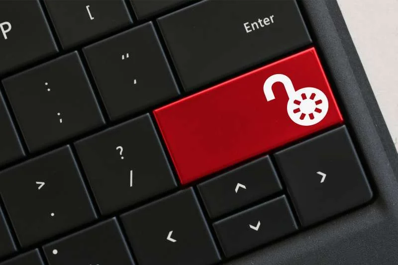 Unlocking Performance Excellence: Performance Measurement and Management Techniques